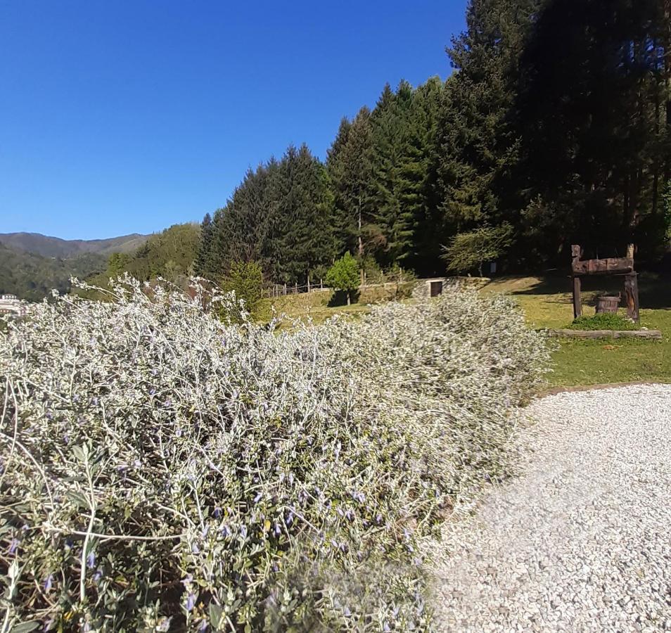 شقة Il Bosco Di Campo Marzano Sunlight Borzonasca المظهر الخارجي الصورة