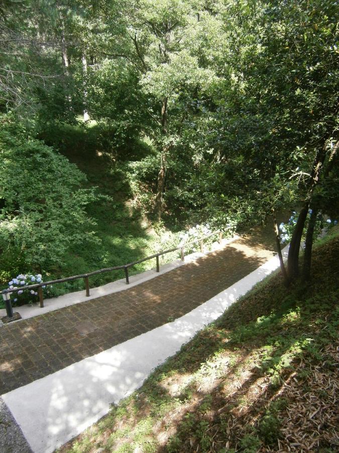 شقة Il Bosco Di Campo Marzano Sunlight Borzonasca المظهر الخارجي الصورة